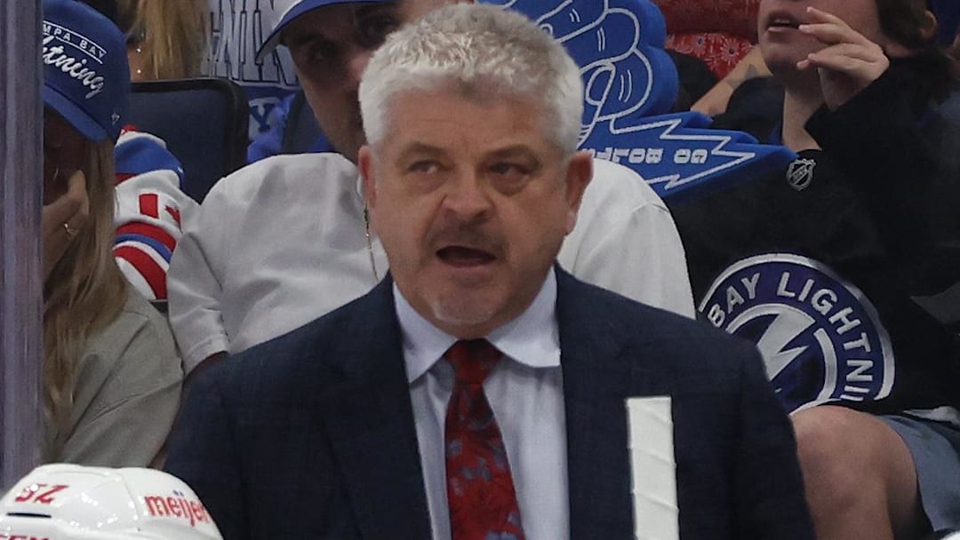 Apr 11, 2025; Tampa, Florida, USA; Detroit Red Wings head coach Todd McLellan looks on against the Tampa Bay Lightning during the second period at Amalie Arena. Mandatory Credit: Kim Klement Neitzel-Imagn Images