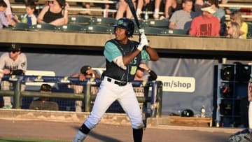 Lynchburg Hillcats outfielder Jaison Chourio (8).