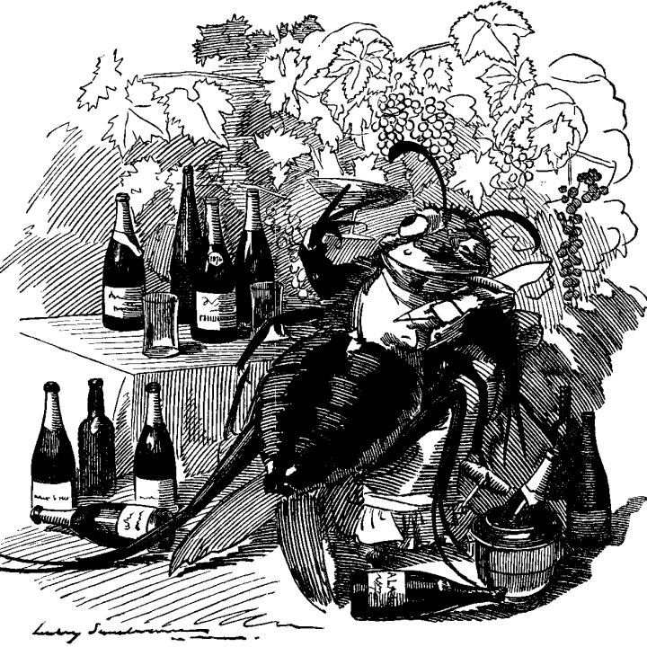 cartoon of a grape phylloxera enjoying fine wine