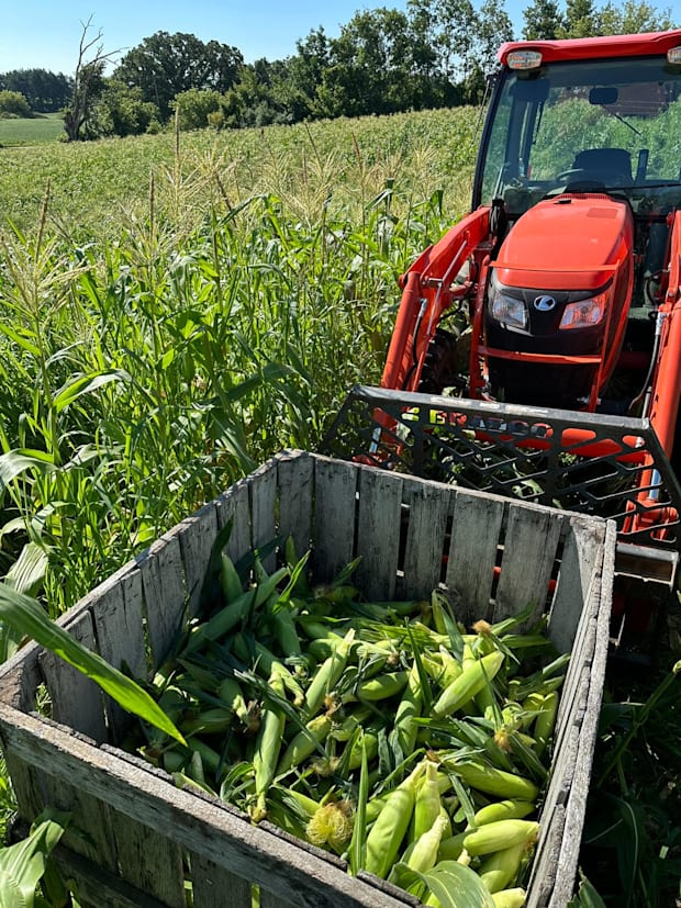 Forgotten Harvest produce haul