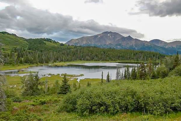 an alpine arctic grayling lake