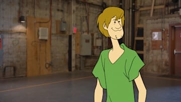 Specials -- “Scooby-Doo, Where Are You Now!” -- Image Number: SDRfg_0004 -- Pictured (L - R): Shaggy -- Photo: Abominable Pictures/The CW -- © 2021 The CW Network, LLC. All Rights Reserved.