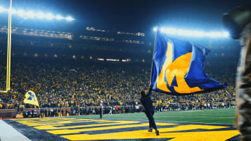 Michigan Stadium under the lights