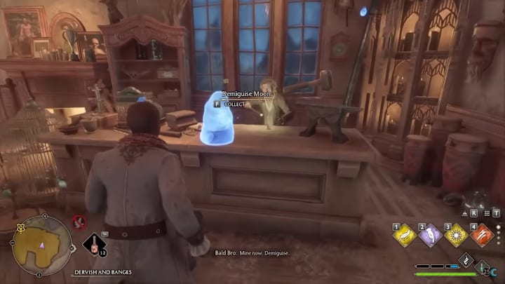 The location of a Demiguise Moon in Hogwarts Legacy.