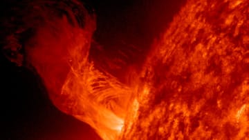 Solar Eruption Rises Above Sun