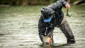 Releasing an Arctic char in the rain. 