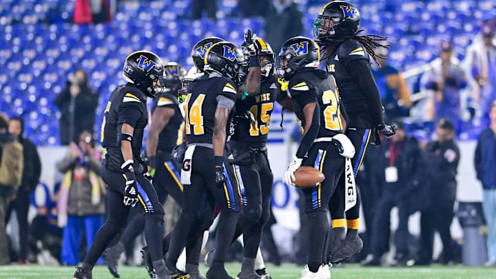 Wise Pumas Wise Pumas