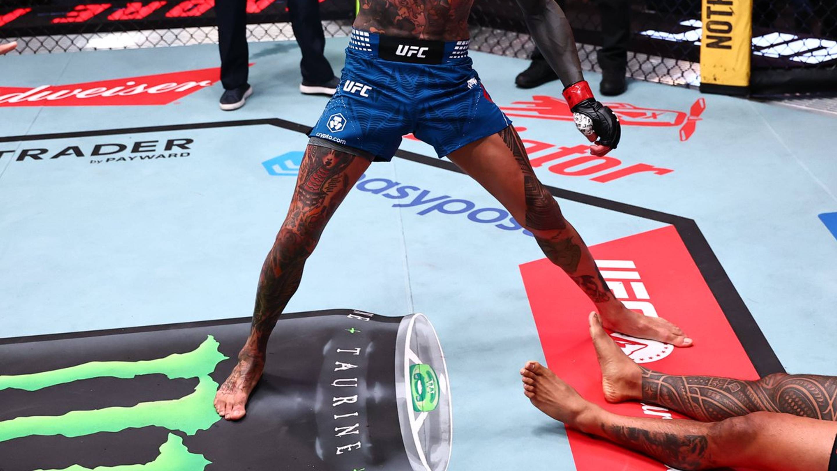 UFC Vegas 122 Main Card Fighter Scores Ultra-Violent "Knockout of the Year" Contender