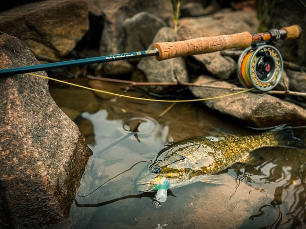 Flies Wild Water Fly Fishing Cone Head Fly Assortment 24 Flies