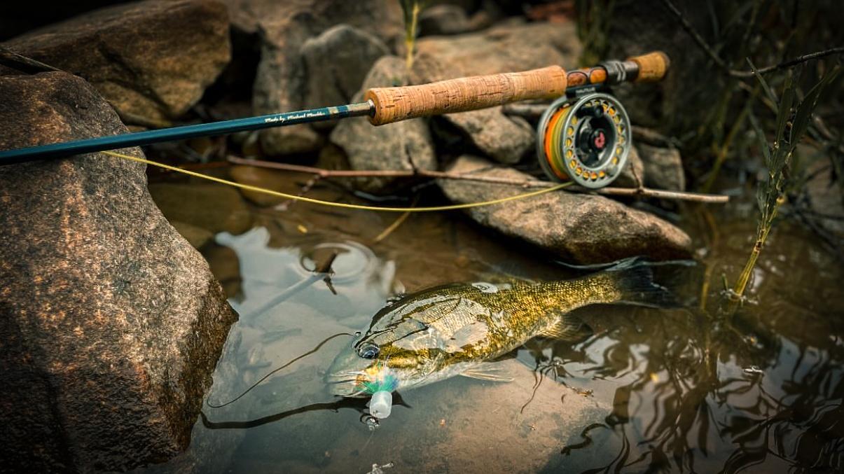 molinete shimano sienna 4000 é bom SN4000RE caixa de carretel giratório, arraste traseiro, 1+1 color:Sandeel Saltwater Fly Fishing Rods medium-power