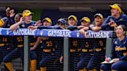 Cal softball