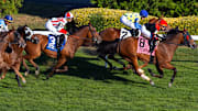 Horse Racing September 13th