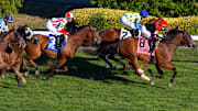 Horse Racing September 13th