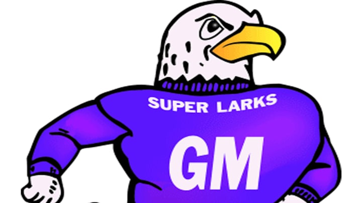 Grand Meadow Superlarks logo.