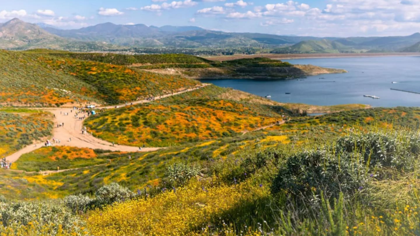 California Moving Closer to Achieving Executive Order With Land Trust