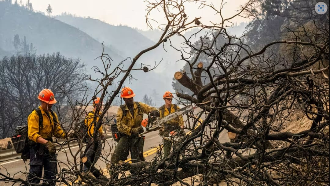 Firefighters clean burned trees and branches as the Line Fire grows on Sept. 8 in San Bernardino, Calif.