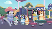 Join Bluey and the rest of her family on an adventure!