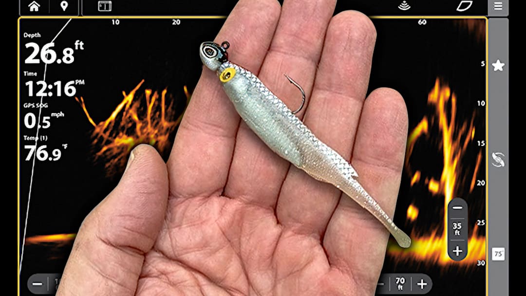 A jighead minnow may look simple, but subtle adjustments in casting distance, leader length, and rod action can dramatically improve landing percentage in the world of forward-facing sonar fishing.