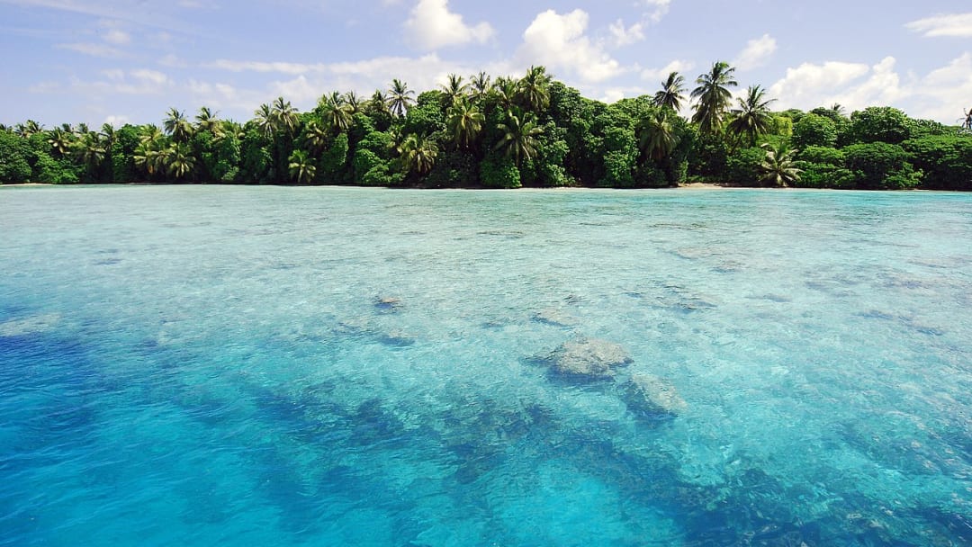 帕尔米拉环礁上没有人居住是有原因的。