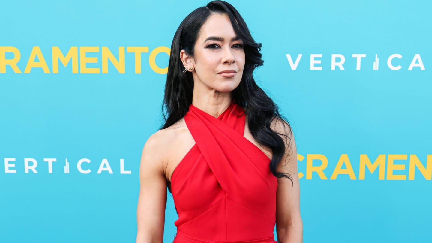 Former WWE Star AJ Lee Misses Wrestling Fan Connection