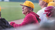 Arkansas Razorbacks coach Dave Van Horn in the dugout against Central Arkansas at Baum-Walker Stadium in Fayetteville, Ark.