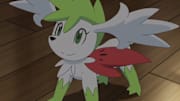 Trainers want to know where to find the adorable hedgehog-like Pokemon, Shaymin, in Pokemon Brilliant Diamond and Shining Pearl. 