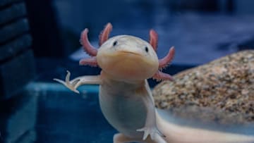 Hey, little guy.