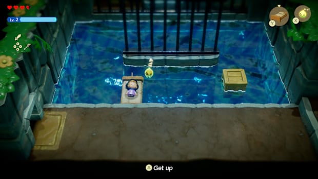 Zelda is in disguise at the start of the game.