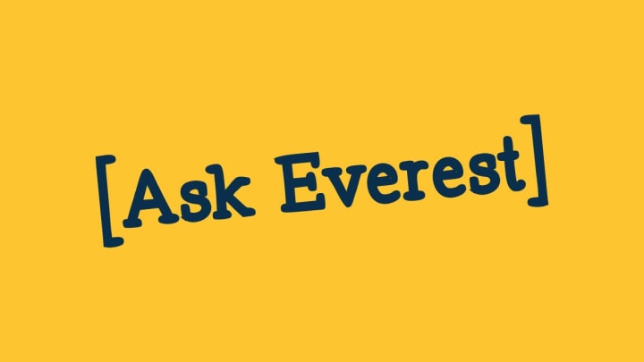 Ask Everest Logo