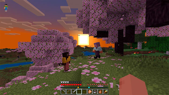 Two players in a Cherry Blossom biome with the player inidcator on.