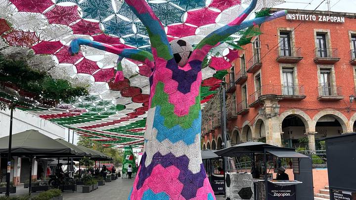 Uno de los tejidos del Bosque Mundialista Uno de los tejidos del Bosque Mundialista