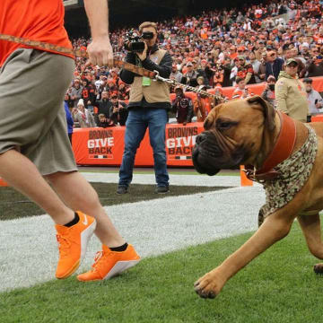 Swagger Jr. takes the field before the Cleveland Browns' game.