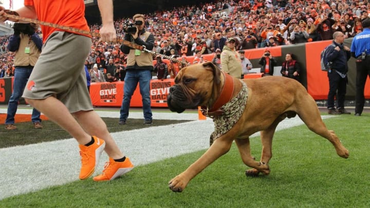 Swagger Jr. takes the field before the Cleveland Browns' game.