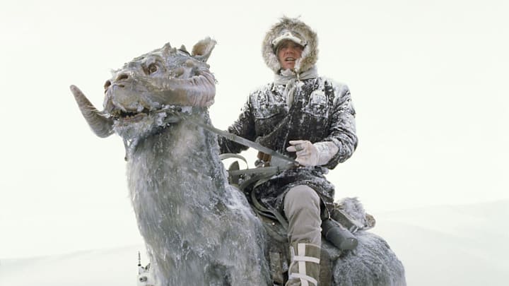 Star Wars Episode V: The Empire Strikes Back. Han Solo (Harrison Ford).