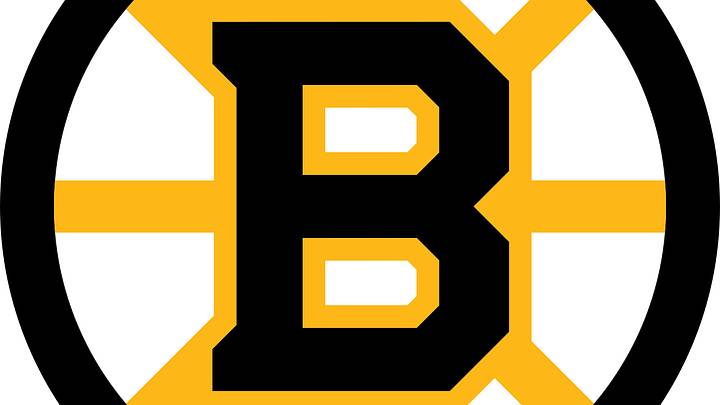 Boston Bruins logo from 1949-1995