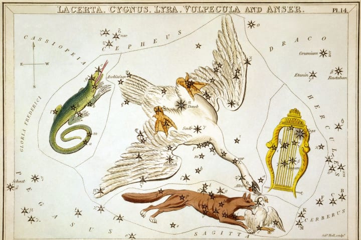 The constellation Lyra (the Harp) near Lacerta (the Lizard), Cygnus (the Swan), and Vulpecula (the Fox) with its star, Anser 