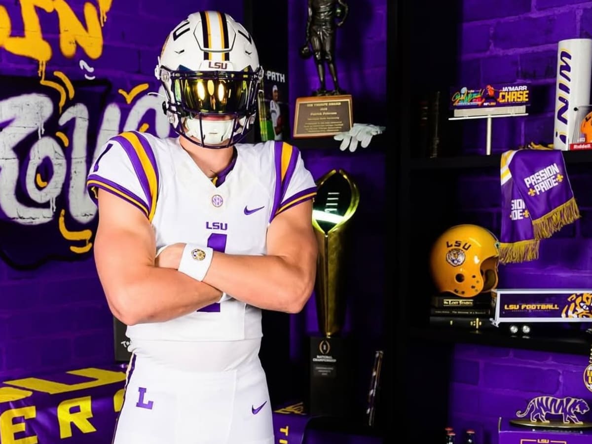 Lsu Baby NCAA LSU Tigers Mesh Baby Bib Hand Wash Only (All Pro