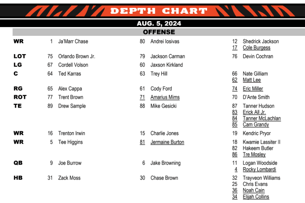 Depth Chart Offense