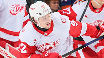 Detroit Red Wings v New York Islanders