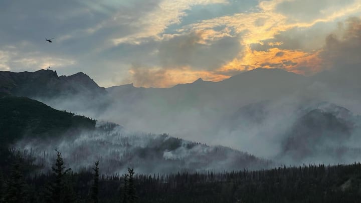 Denali National Park wildfire scene