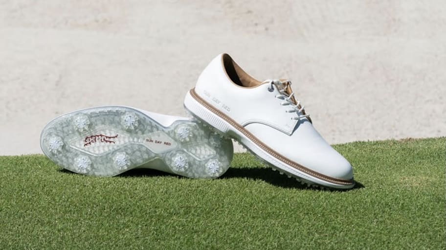 Sun Day Red Pioneer Willow