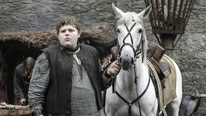Sam Coleman as Young Hodor in Game of Thrones season 6