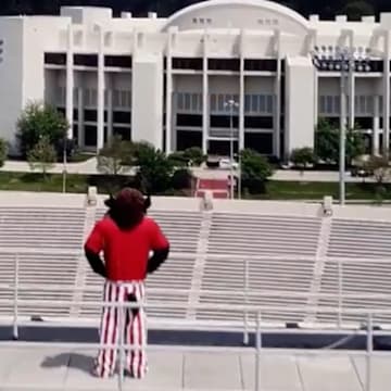 Hoosier The Bison is shown on top of the Memorial Stadium press box as he oversees his realm. Indiana confirmed the bison will be back as the official mascot starting in the fall.