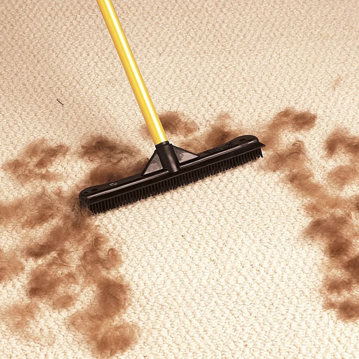 Person using a FURemover Pet Hair Remover Carpet Rake a rug with dog hair