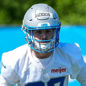 Detroit Lions safety Dan Jackson (28).