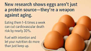 Eggs Are a Weapon in the Fight Against Aging—Science Just Caught Up.