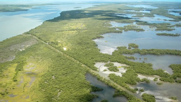 A picture of several canals with a green island in the middle.