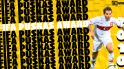 FIFA Puskas Award 2010