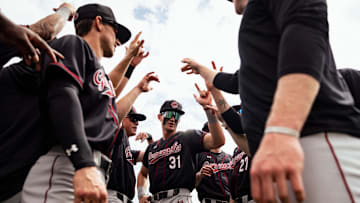 The South Carolina 2025 Baseball Season isn't off to an ideal start. 