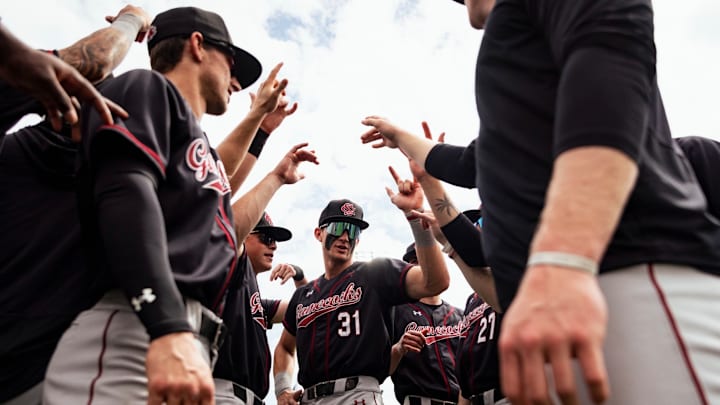 The South Carolina 2025 Baseball Season isn't off to an ideal start. The South Carolina 2025 Baseball Season isn't off to an ideal start.